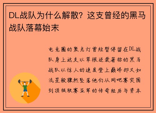 DL战队为什么解散？这支曾经的黑马战队落幕始末